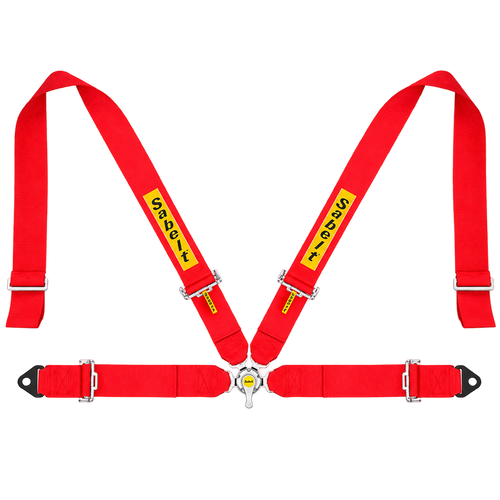 Qubic System QS-BT1 aktiv beltestrammer